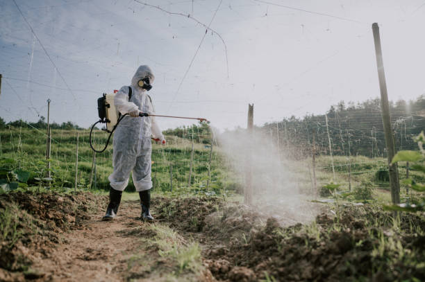 Pest Control Cost in Milwaukie, OR