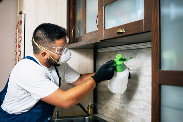 Pest Prevention Services in Milwaukie, OR