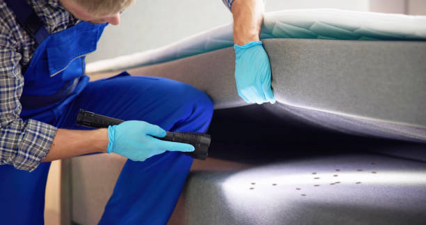 Best Insect Control  in Milwaukie, OR