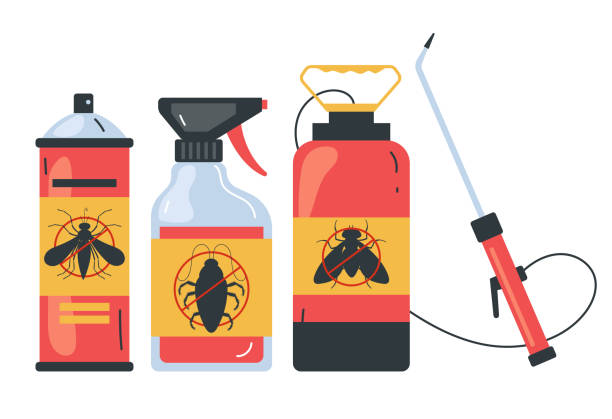 Best Spider Control Near Me  in Milwaukie, OR