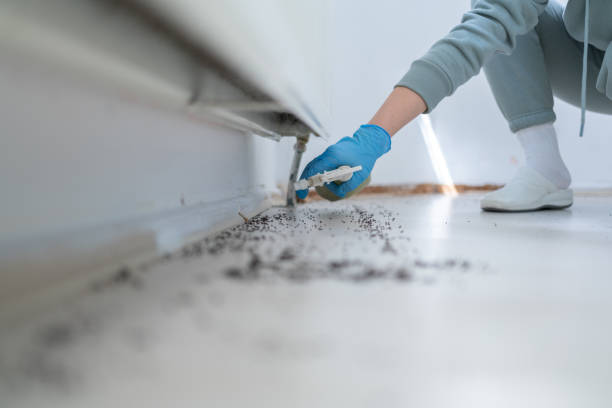 Best Rat Extermination Near Me  in Milwaukie, OR